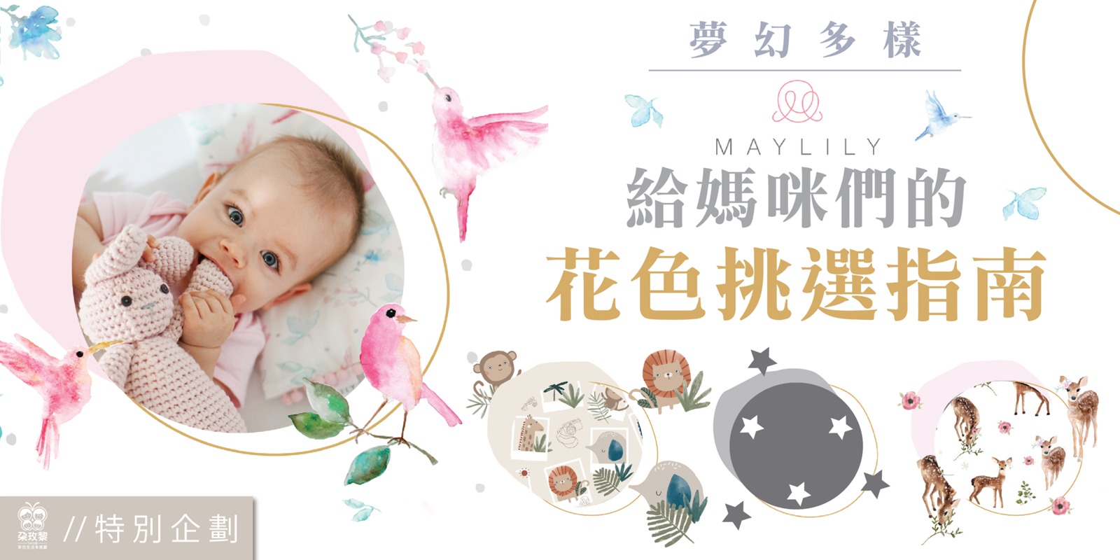 朶特企|夢幻多樣Maylily!給媽咪們的花色挑選指南